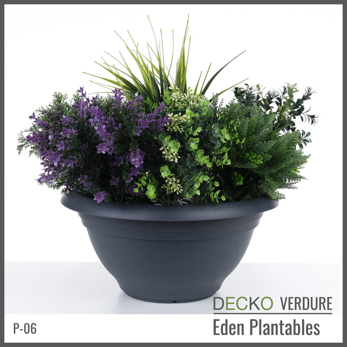 Wholesale: Box of DECKO Verdure Eden Plantables - DAHLIA - FOB Shanghai. MOQ 1 Pallet = 90 boxes (Price/Box)