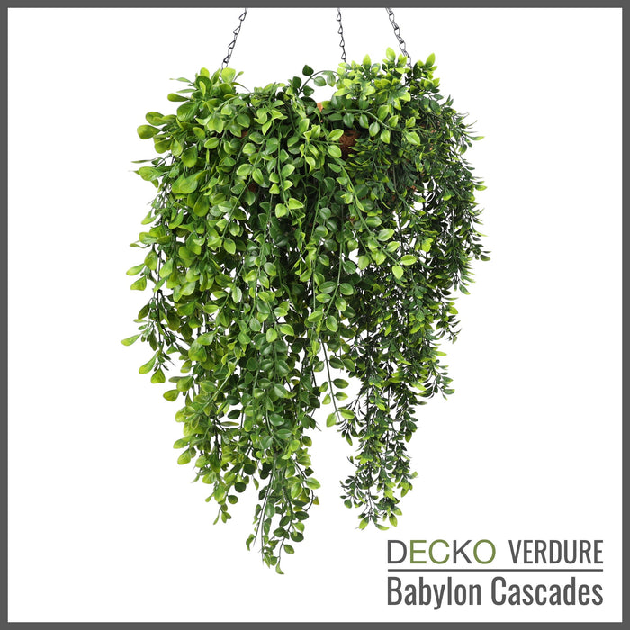Wholesale: Box of DECKO Verdure Babylon Cascades - SENNA - FOB Shanghai. MOQ 1 Pallet = 90 boxes (Price/Box)