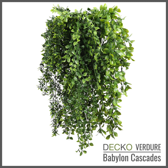 Wholesale: Box of DECKO Verdure Babylon Cascades - SENNA - FOB Shanghai. MOQ 1 Pallet = 90 boxes (Price/Box)