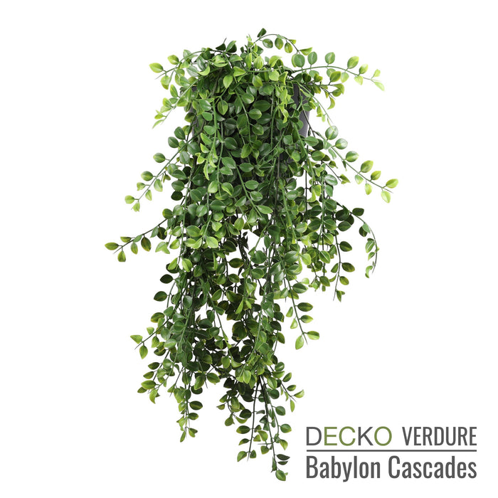 Wholesale: Box of DECKO Verdure Babylon Cascades - SENNA - FOB Shanghai. MOQ 1 Pallet = 90 boxes (Price/Box)