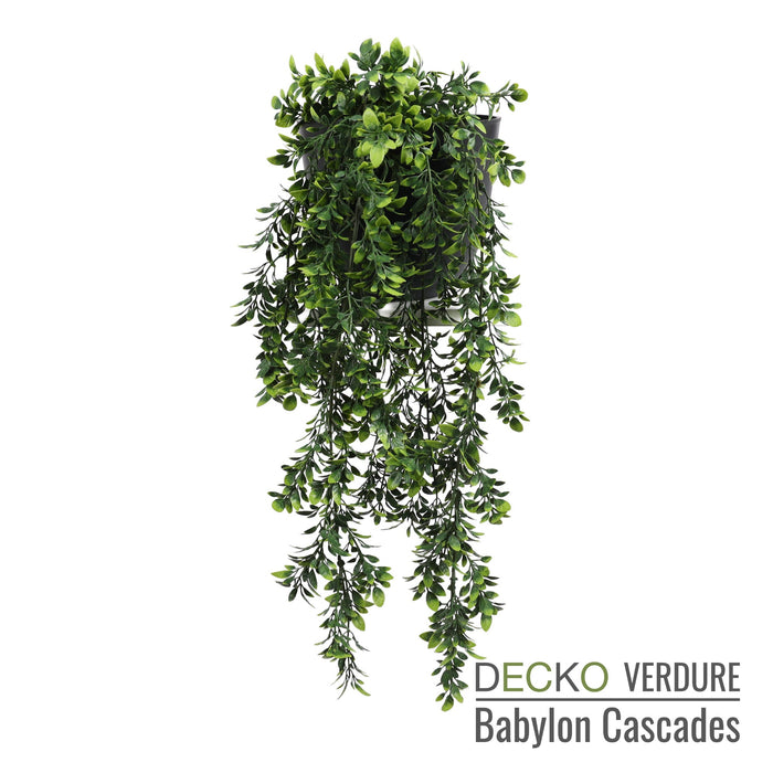 Wholesale: Box of DECKO Verdure Babylon Cascades - SENNA - FOB Shanghai. MOQ 1 Pallet = 90 boxes (Price/Box)
