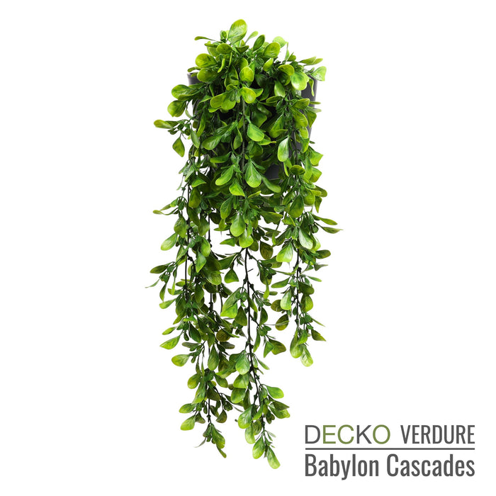 Wholesale: Box of DECKO Verdure Babylon Cascades - SENNA - FOB Shanghai. MOQ 1 Pallet = 90 boxes (Price/Box)