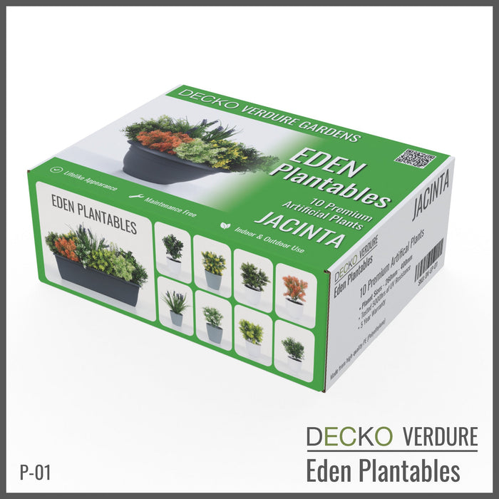 Wholesale: Box of DECKO Verdure Eden Plantables - JACINTA - FOB Shanghai. MOQ 1 Pallet = 90 boxes (Price/Box)