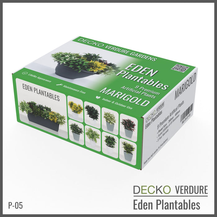 Wholesale: Box of DECKO Verdure Eden Plantables - MARIGOLD - FOB Shanghai. MOQ 1 Pallet = 90 boxes (Price/Box)