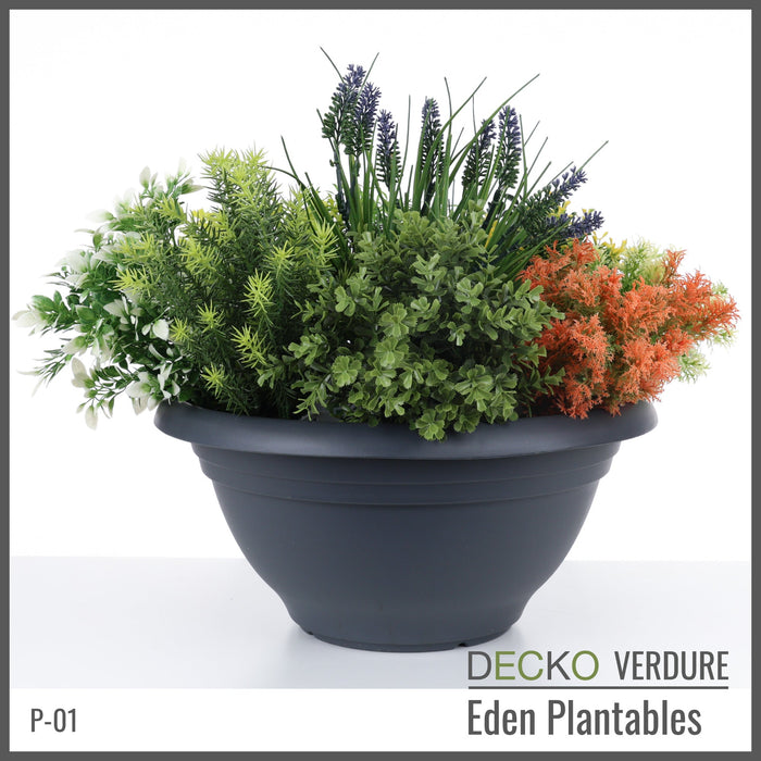 Wholesale: Box of DECKO Verdure Eden Plantables - JACINTA - FOB Shanghai. MOQ 1 Pallet = 90 boxes (Price/Box)