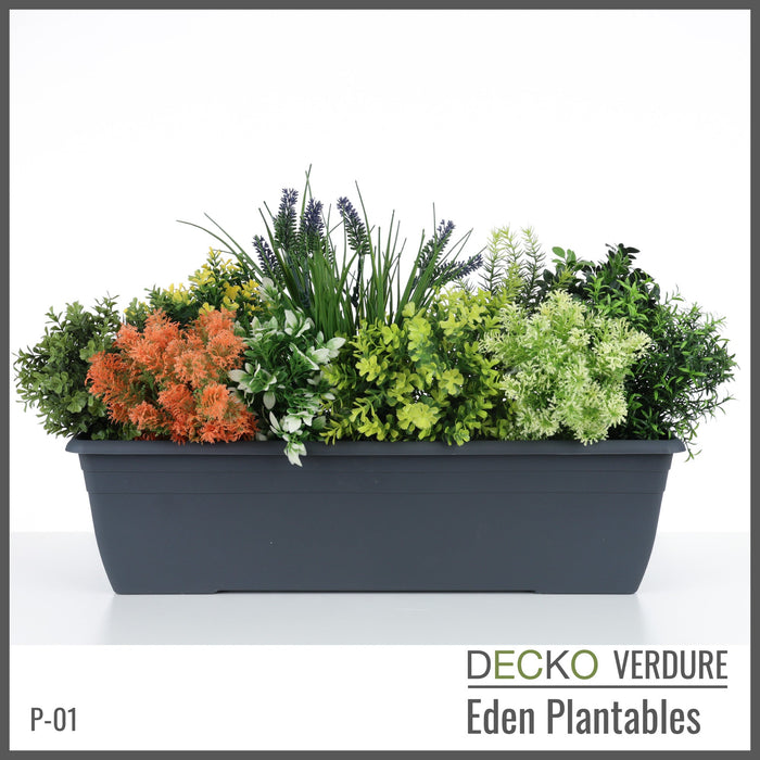 Wholesale: Box of DECKO Verdure Eden Plantables - JACINTA - FOB Shanghai. MOQ 1 Pallet = 90 boxes (Price/Box)
