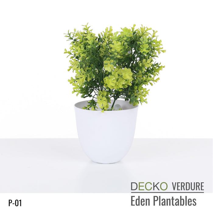 Wholesale: Box of DECKO Verdure Eden Plantables - JACINTA - FOB Shanghai. MOQ 1 Pallet = 90 boxes (Price/Box)