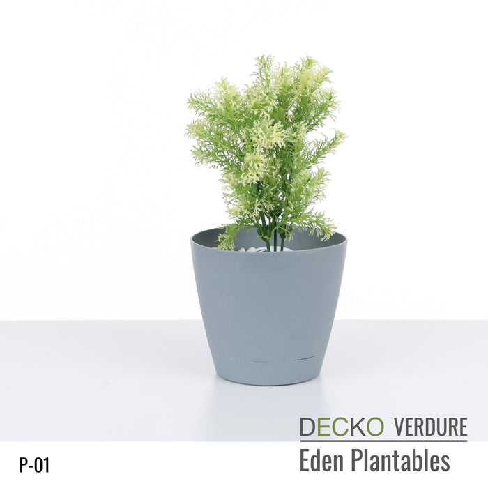 Wholesale: Box of DECKO Verdure Eden Plantables - JACINTA - FOB Shanghai. MOQ 1 Pallet = 90 boxes (Price/Box)