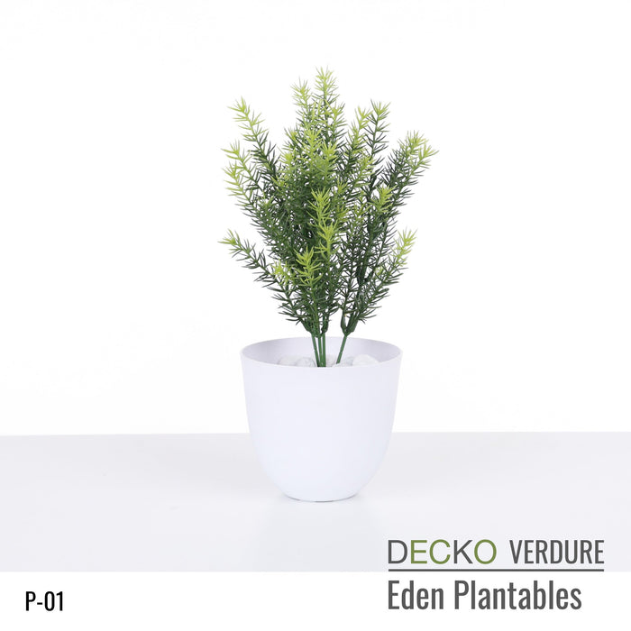 Wholesale: Box of DECKO Verdure Eden Plantables - JACINTA - FOB Shanghai. MOQ 1 Pallet = 90 boxes (Price/Box)