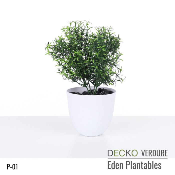 Wholesale: Box of DECKO Verdure Eden Plantables - JACINTA - FOB Shanghai. MOQ 1 Pallet = 90 boxes (Price/Box)