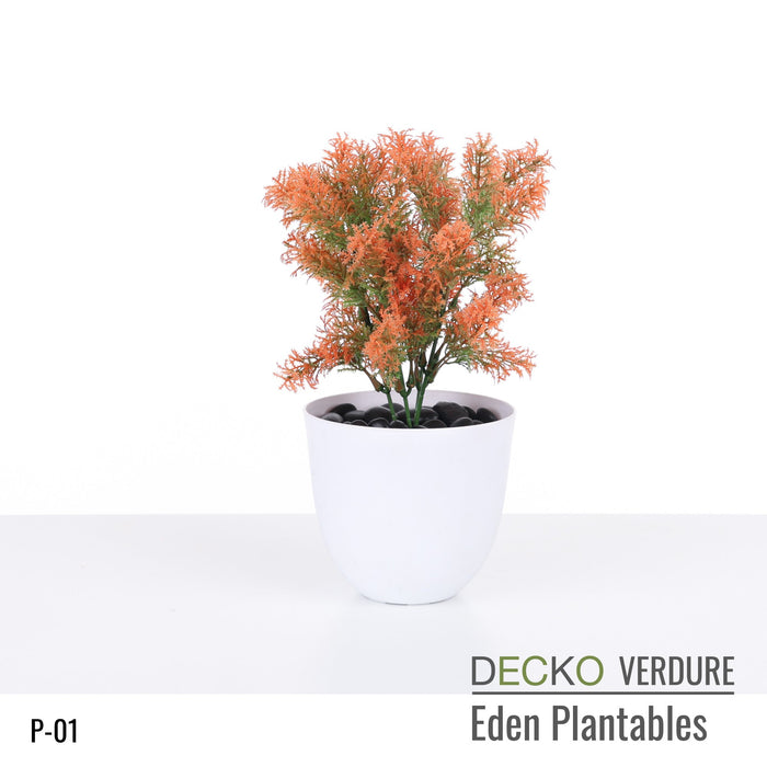 Wholesale: Box of DECKO Verdure Eden Plantables - JACINTA - FOB Shanghai. MOQ 1 Pallet = 90 boxes (Price/Box)