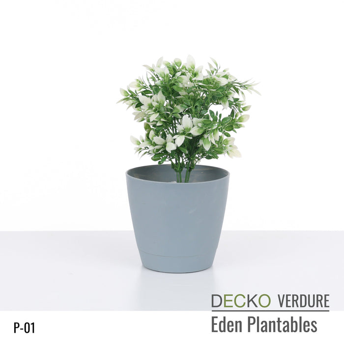 Wholesale: Box of DECKO Verdure Eden Plantables - JACINTA - FOB Shanghai. MOQ 1 Pallet = 90 boxes (Price/Box)