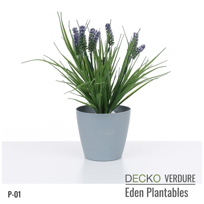 Wholesale: Box of DECKO Verdure Eden Plantables - JACINTA - FOB Shanghai. MOQ 1 Pallet = 90 boxes (Price/Box)