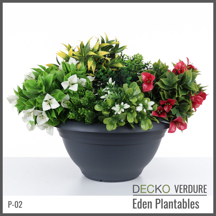Wholesale: Box of DECKO Verdure Eden Plantables - FLORA - FOB Shanghai. MOQ 1 Pallet = 90 boxes (Price/Box)