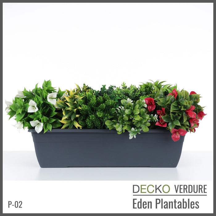 Wholesale: Box of DECKO Verdure Eden Plantables - FLORA - FOB Shanghai. MOQ 1 Pallet = 90 boxes (Price/Box)