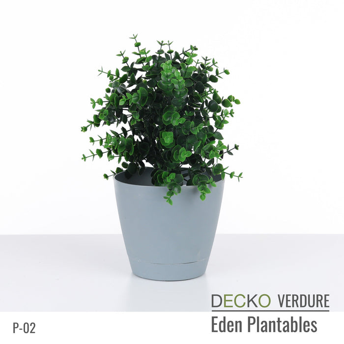 Wholesale: Box of DECKO Verdure Eden Plantables - FLORA - FOB Shanghai. MOQ 1 Pallet = 90 boxes (Price/Box)