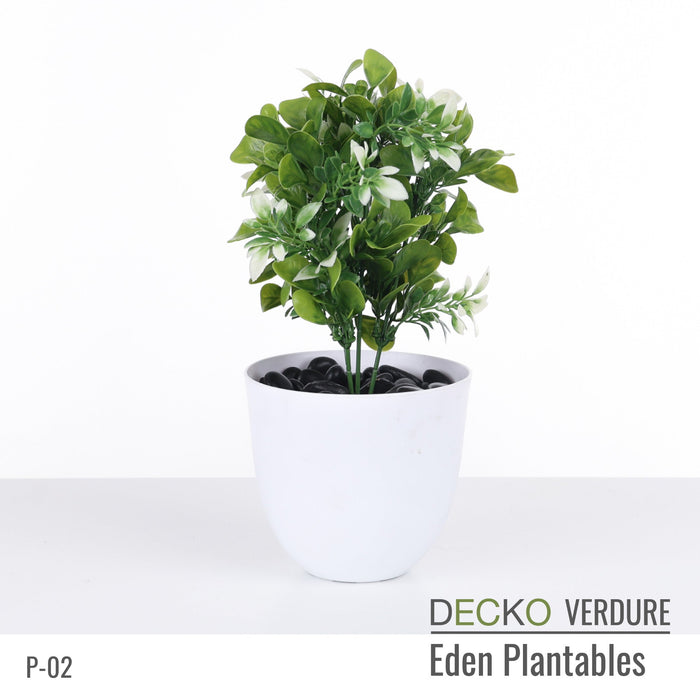 Wholesale: Box of DECKO Verdure Eden Plantables - FLORA - FOB Shanghai. MOQ 1 Pallet = 90 boxes (Price/Box)
