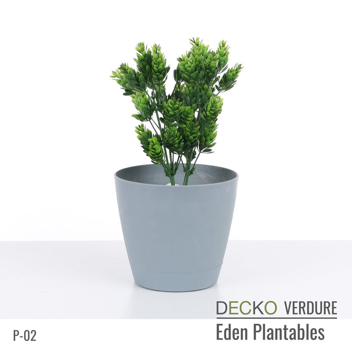 Wholesale: Box of DECKO Verdure Eden Plantables - FLORA - FOB Shanghai. MOQ 1 Pallet = 90 boxes (Price/Box)