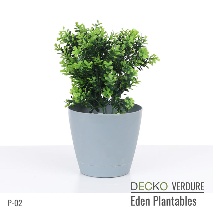 Wholesale: Box of DECKO Verdure Eden Plantables - FLORA - FOB Shanghai. MOQ 1 Pallet = 90 boxes (Price/Box)