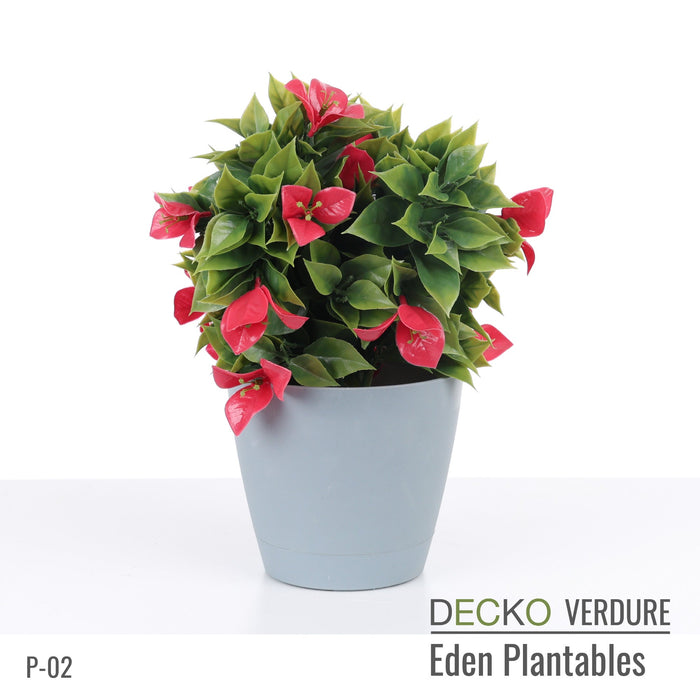 Wholesale: Box of DECKO Verdure Eden Plantables - FLORA - FOB Shanghai. MOQ 1 Pallet = 90 boxes (Price/Box)