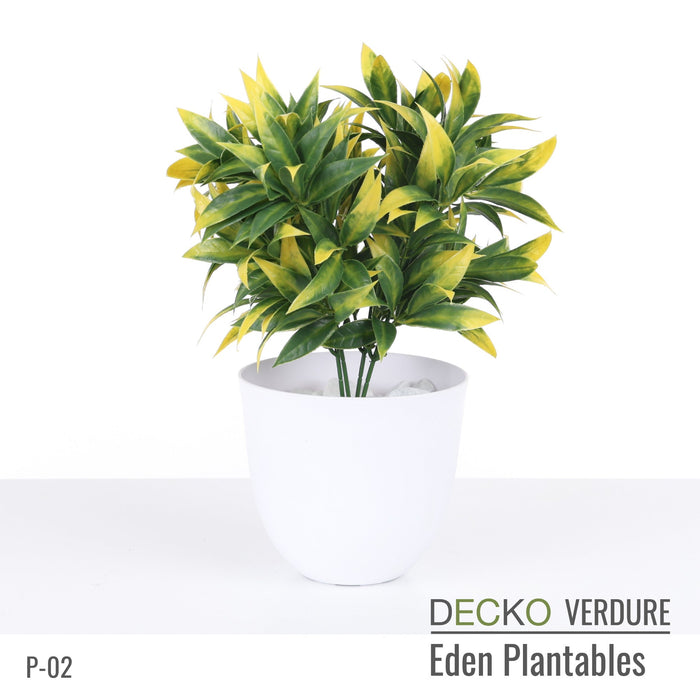 Wholesale: Box of DECKO Verdure Eden Plantables - FLORA - FOB Shanghai. MOQ 1 Pallet = 90 boxes (Price/Box)