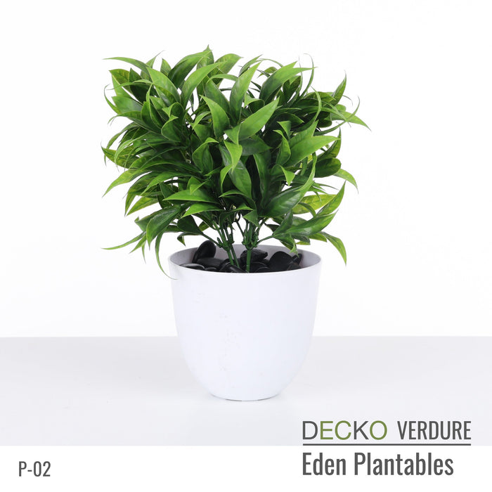 Wholesale: Box of DECKO Verdure Eden Plantables - FLORA - FOB Shanghai. MOQ 1 Pallet = 90 boxes (Price/Box)