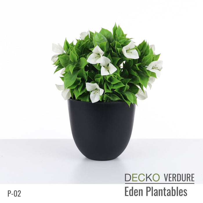 Wholesale: Box of DECKO Verdure Eden Plantables - FLORA - FOB Shanghai. MOQ 1 Pallet = 90 boxes (Price/Box)
