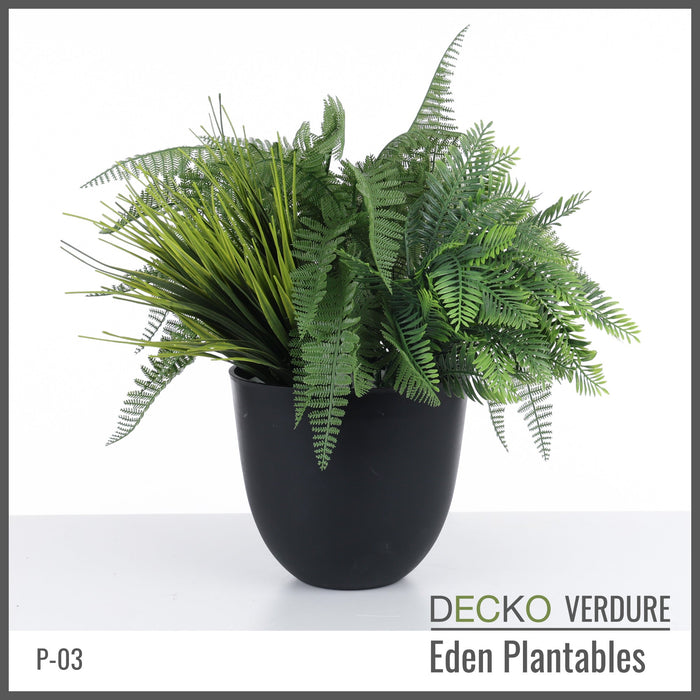 Wholesale: Box of DECKO Verdure Eden Plantables - SYLVA - FOB Shanghai. MOQ 1 Pallet = 90 boxes (Price/Box)