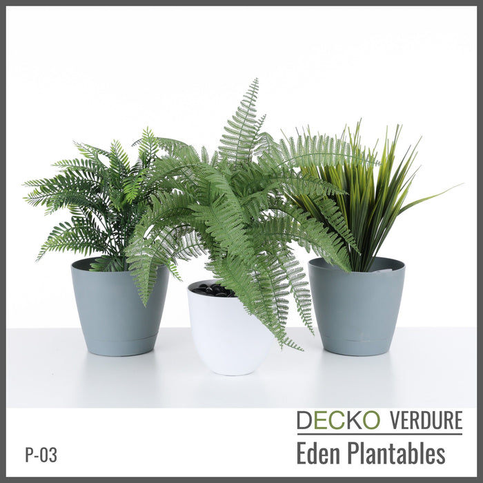 Wholesale: Box of DECKO Verdure Eden Plantables - SYLVA - FOB Shanghai. MOQ 1 Pallet = 90 boxes (Price/Box)
