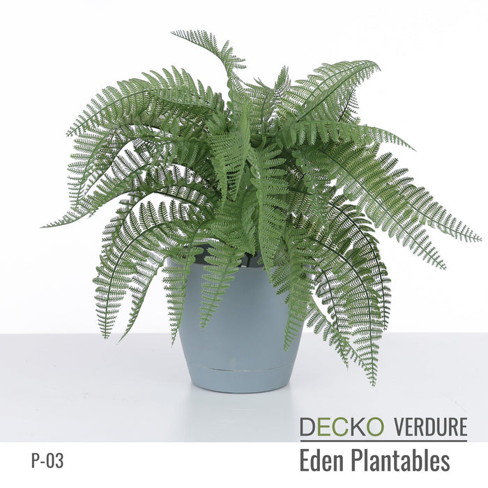 Wholesale: Box of DECKO Verdure Eden Plantables - SYLVA - FOB Shanghai. MOQ 1 Pallet = 90 boxes (Price/Box)
