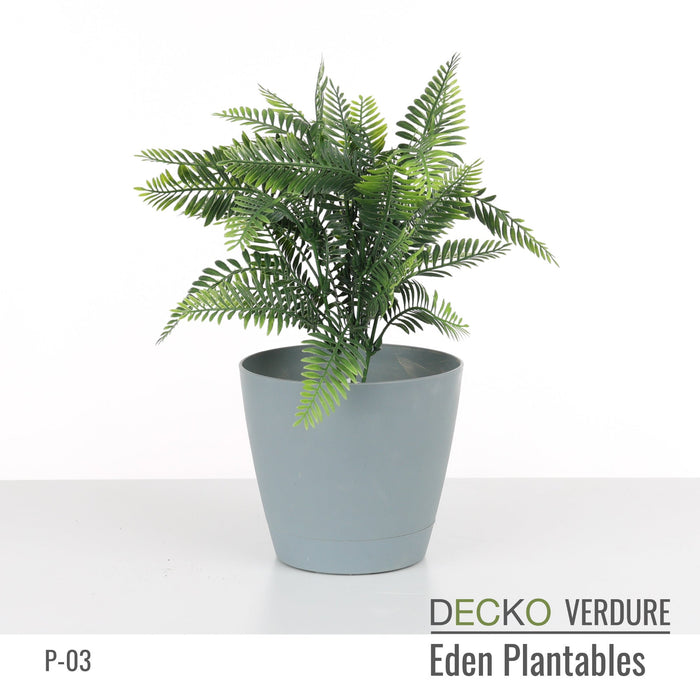 Wholesale: Box of DECKO Verdure Eden Plantables - SYLVA - FOB Shanghai. MOQ 1 Pallet = 90 boxes (Price/Box)