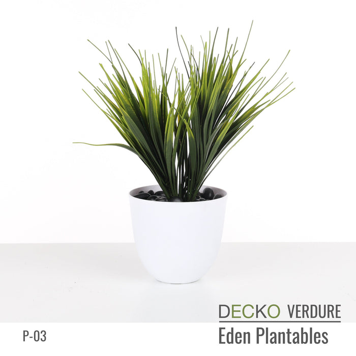 Wholesale: Box of DECKO Verdure Eden Plantables - SYLVA - FOB Shanghai. MOQ 1 Pallet = 90 boxes (Price/Box)