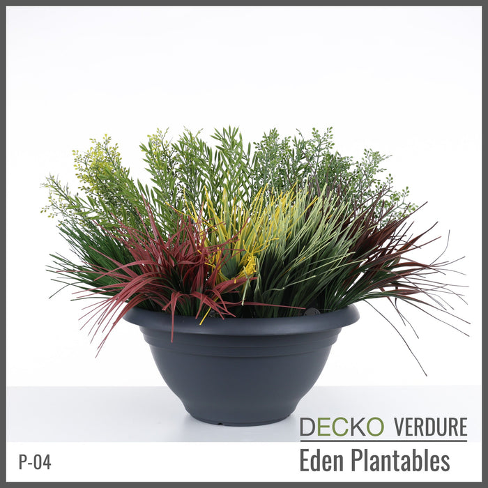 Wholesale: Box of DECKO Verdure Eden Plantables - VERBENA - FOB Shanghai. MOQ 1 Pallet = 90 boxes (Price/Box)