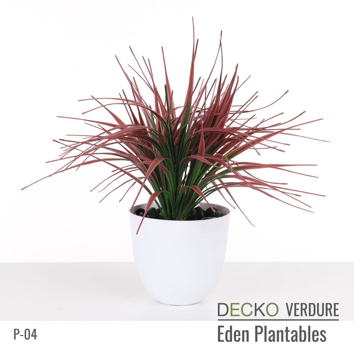 Wholesale: Box of DECKO Verdure Eden Plantables - VERBENA - FOB Shanghai. MOQ 1 Pallet = 90 boxes (Price/Box)