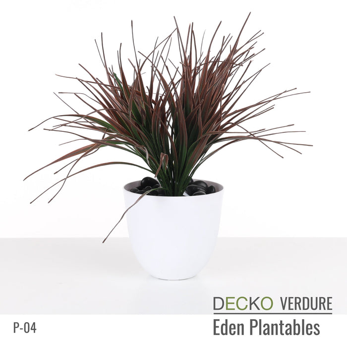 Wholesale: Box of DECKO Verdure Eden Plantables - VERBENA - FOB Shanghai. MOQ 1 Pallet = 90 boxes (Price/Box)