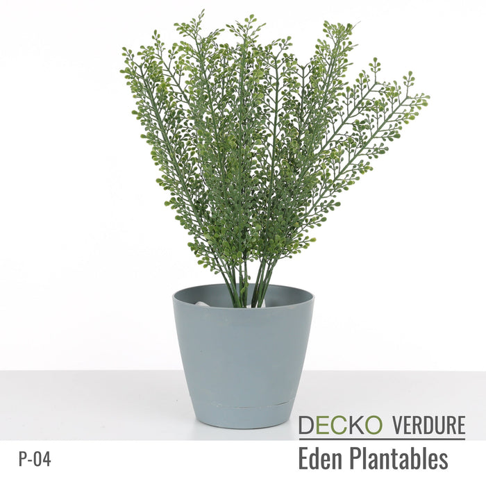 Wholesale: Box of DECKO Verdure Eden Plantables - VERBENA - FOB Shanghai. MOQ 1 Pallet = 90 boxes (Price/Box)