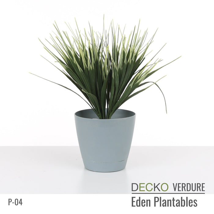 Wholesale: Box of DECKO Verdure Eden Plantables - VERBENA - FOB Shanghai. MOQ 1 Pallet = 90 boxes (Price/Box)