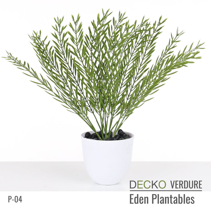Wholesale: Box of DECKO Verdure Eden Plantables - VERBENA - FOB Shanghai. MOQ 1 Pallet = 90 boxes (Price/Box)