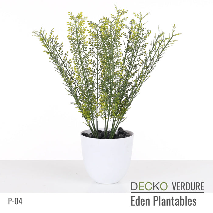 Wholesale: Box of DECKO Verdure Eden Plantables - VERBENA - FOB Shanghai. MOQ 1 Pallet = 90 boxes (Price/Box)