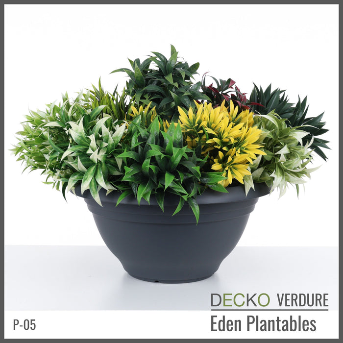 Wholesale: Box of DECKO Verdure Eden Plantables - MARIGOLD - FOB Shanghai. MOQ 1 Pallet = 90 boxes (Price/Box)