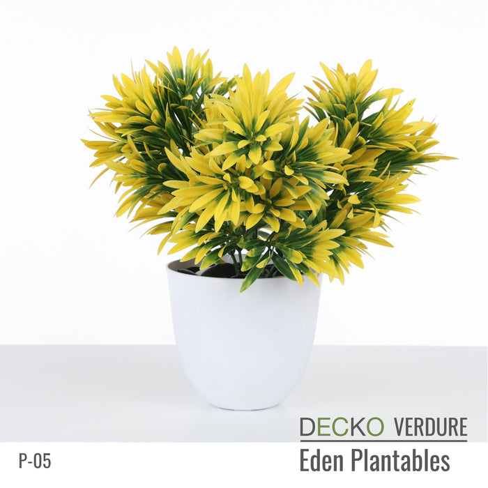 Wholesale: Box of DECKO Verdure Eden Plantables - MARIGOLD - FOB Shanghai. MOQ 1 Pallet = 90 boxes (Price/Box)