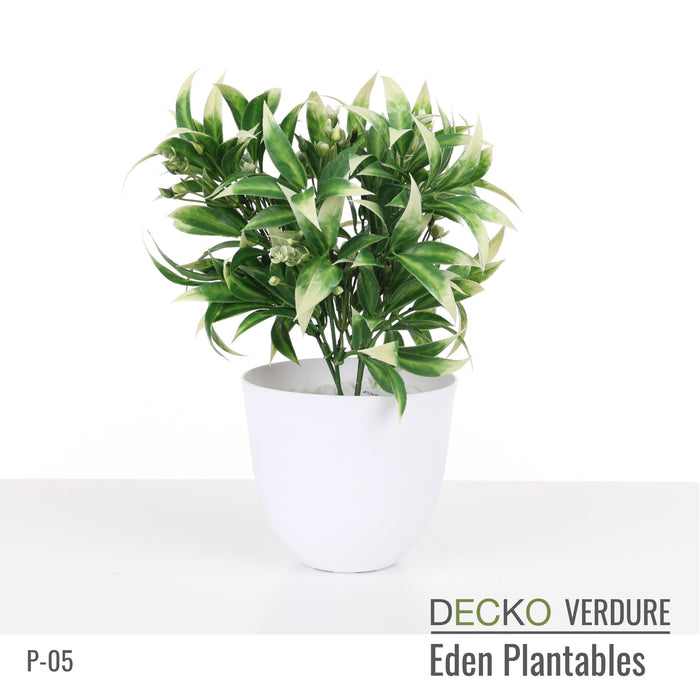 Wholesale: Box of DECKO Verdure Eden Plantables - MARIGOLD - FOB Shanghai. MOQ 1 Pallet = 90 boxes (Price/Box)