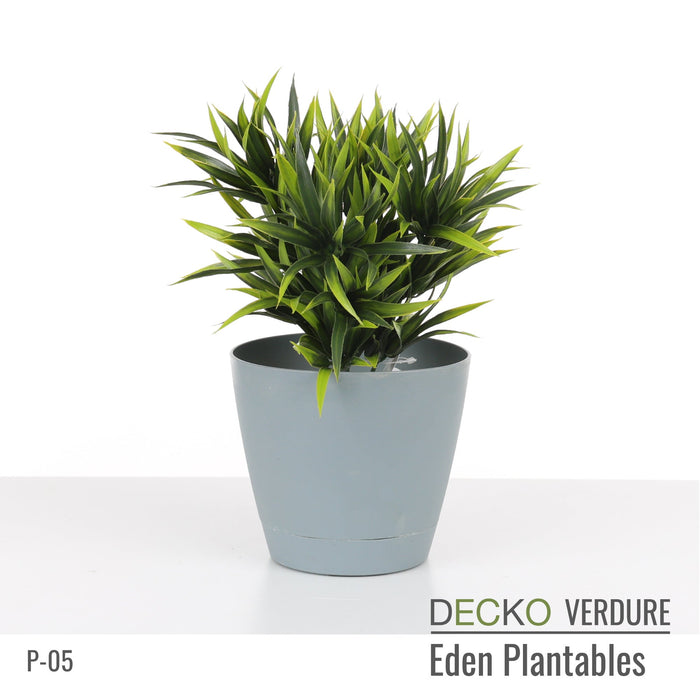 Wholesale: Box of DECKO Verdure Eden Plantables - MARIGOLD - FOB Shanghai. MOQ 1 Pallet = 90 boxes (Price/Box)