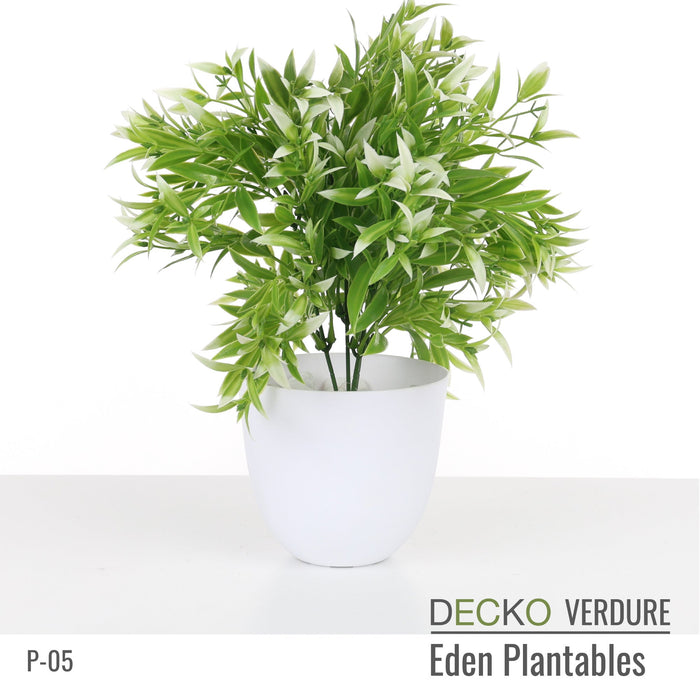Wholesale: Box of DECKO Verdure Eden Plantables - MARIGOLD - FOB Shanghai. MOQ 1 Pallet = 90 boxes (Price/Box)