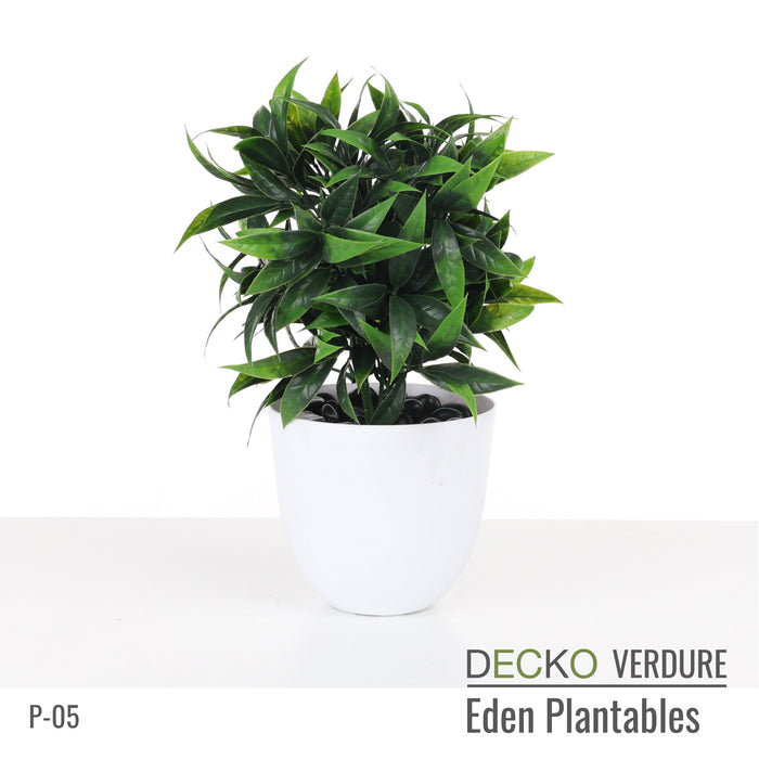 Wholesale: Box of DECKO Verdure Eden Plantables - MARIGOLD - FOB Shanghai. MOQ 1 Pallet = 90 boxes (Price/Box)