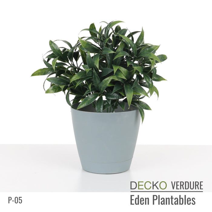 Wholesale: Box of DECKO Verdure Eden Plantables - MARIGOLD - FOB Shanghai. MOQ 1 Pallet = 90 boxes (Price/Box)