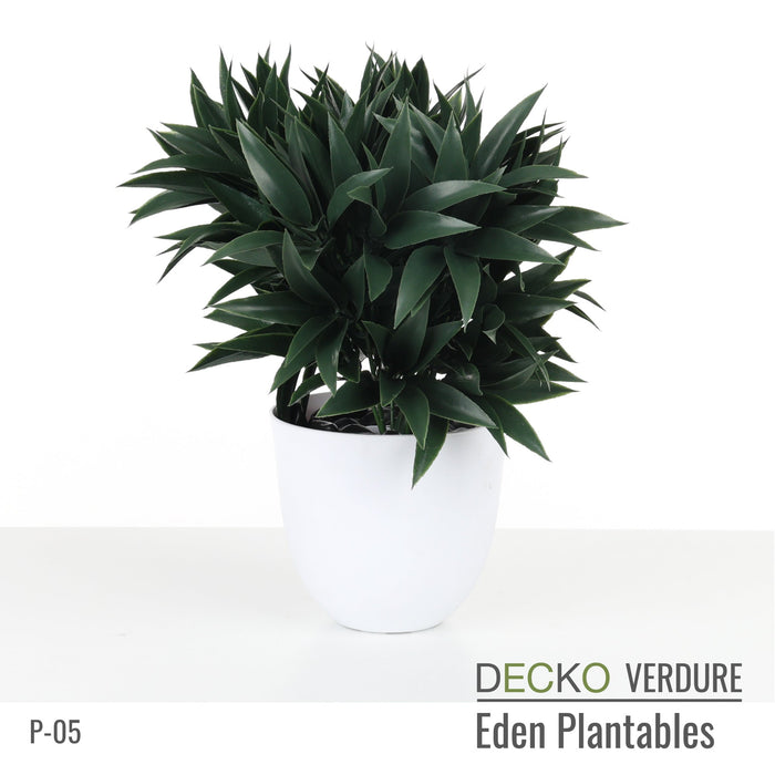 Wholesale: Box of DECKO Verdure Eden Plantables - MARIGOLD - FOB Shanghai. MOQ 1 Pallet = 90 boxes (Price/Box)