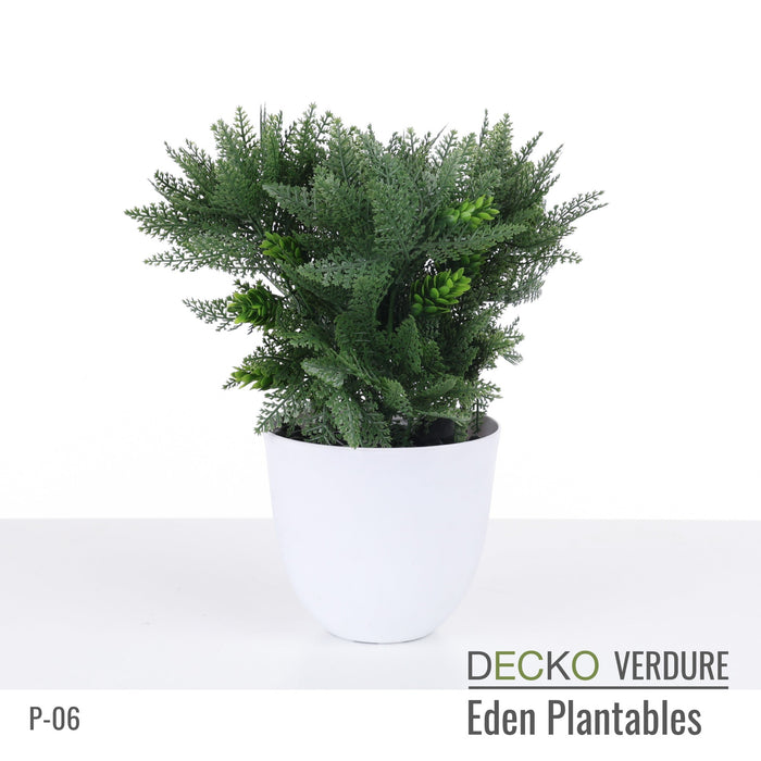 Wholesale: Box of DECKO Verdure Eden Plantables - DAHLIA - FOB Shanghai. MOQ 1 Pallet = 90 boxes (Price/Box)
