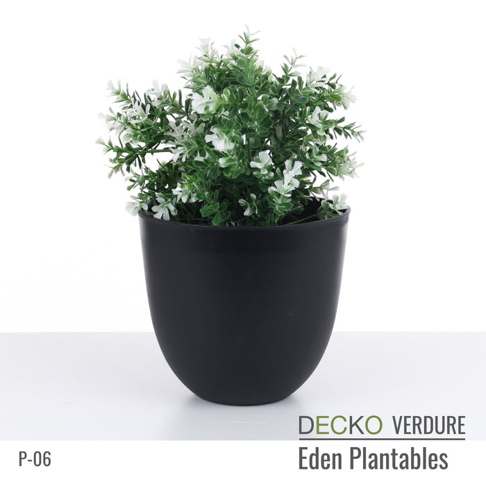 Wholesale: Box of DECKO Verdure Eden Plantables - DAHLIA - FOB Shanghai. MOQ 1 Pallet = 90 boxes (Price/Box)