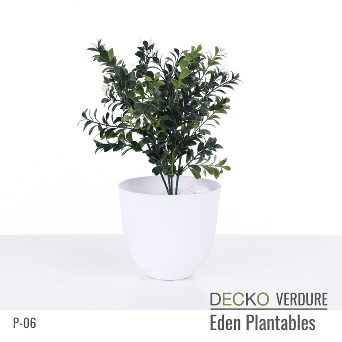 Wholesale: Box of DECKO Verdure Eden Plantables - DAHLIA - FOB Shanghai. MOQ 1 Pallet = 90 boxes (Price/Box)
